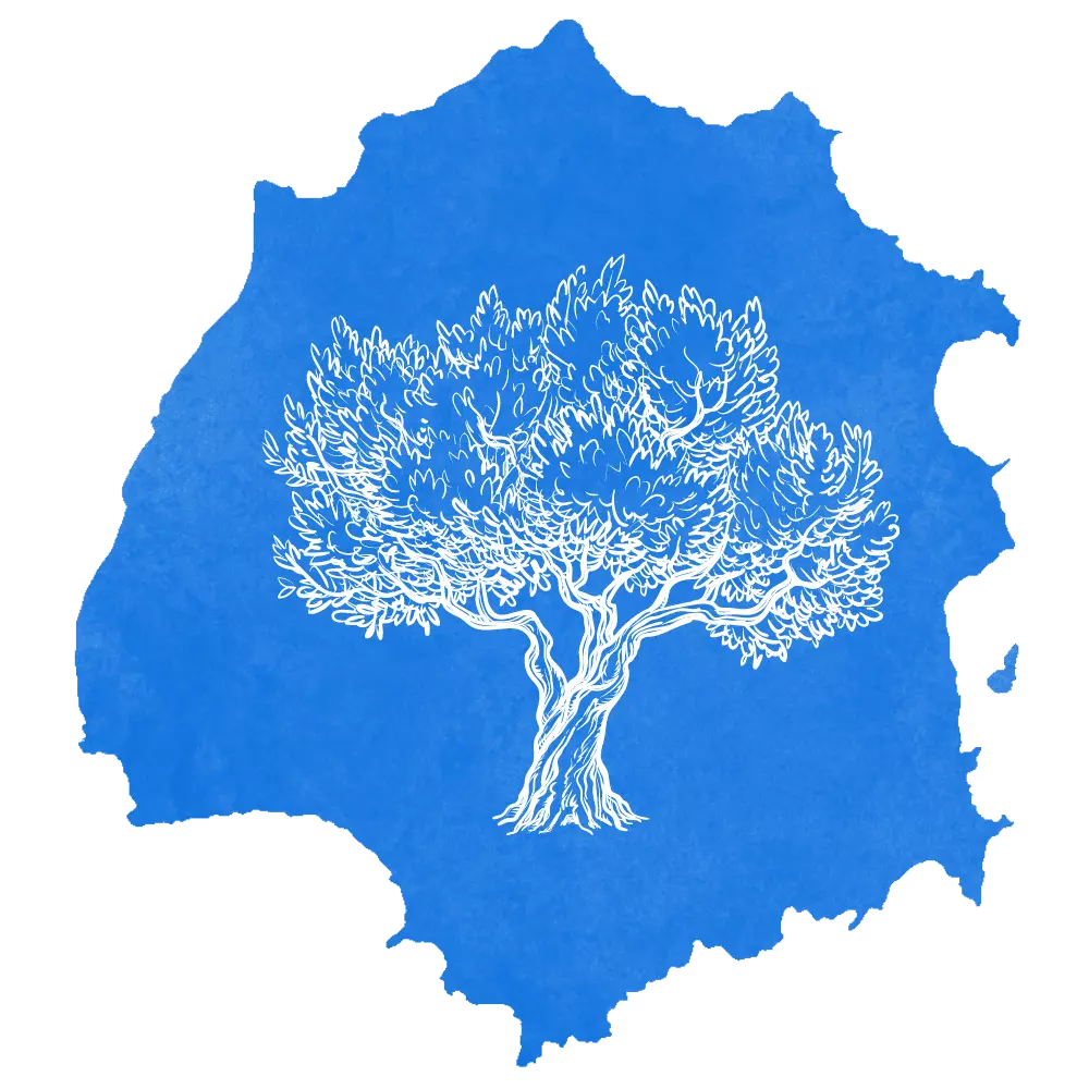 An olive tree inside the blue map of Thassos