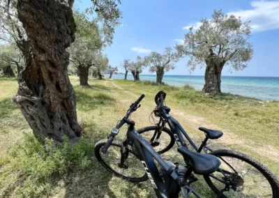 olive grove ebike tour Thassos rent ebike in Thassos