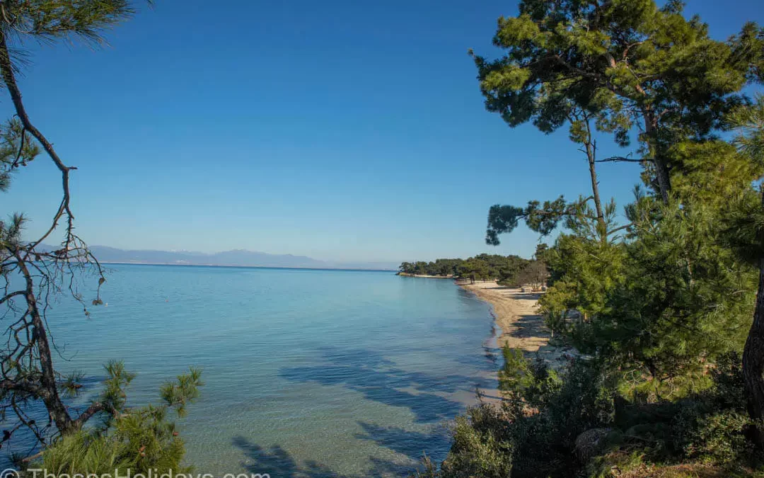 The Ultimate Guide to Pachis Beach Thassos: Everything You Need to Know