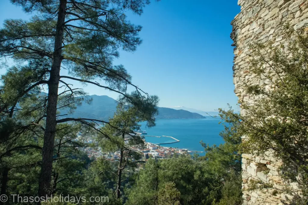 The Tower in the Akropolis with the view over Limena on the background behind a pine tree
