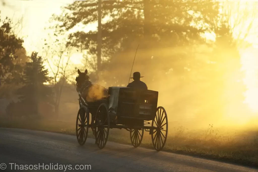 Horse Carriage during sunset