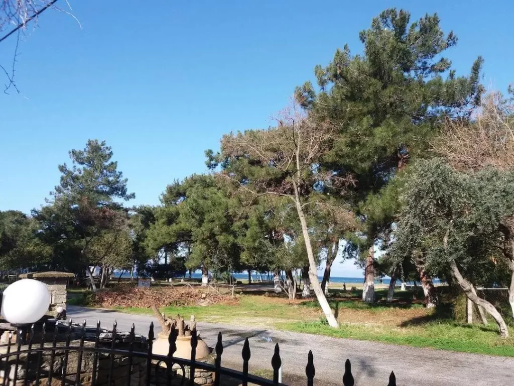 Bleu Vert Thassos