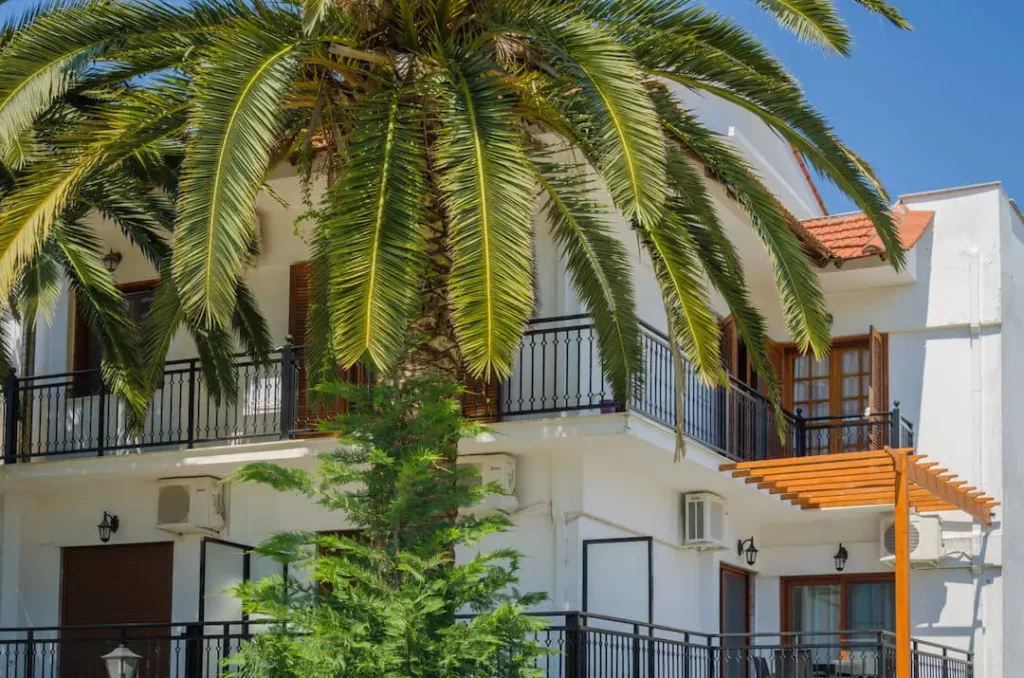 palm studios thassos