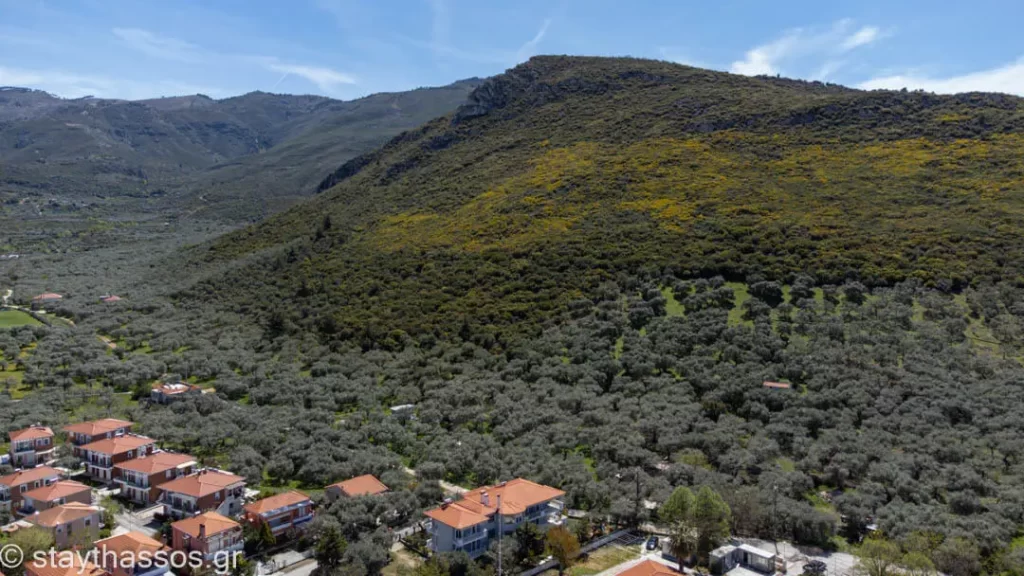 Papachristos Villa Thassos