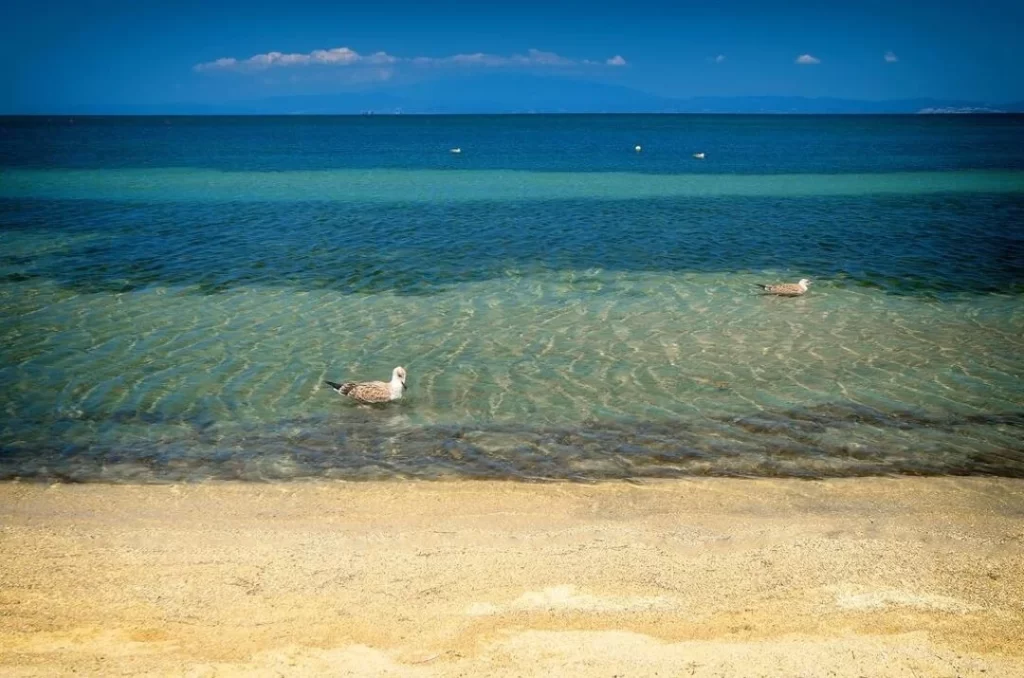 Sea la Vie Thassos