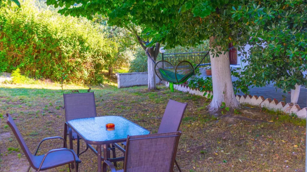 studios elena thassos