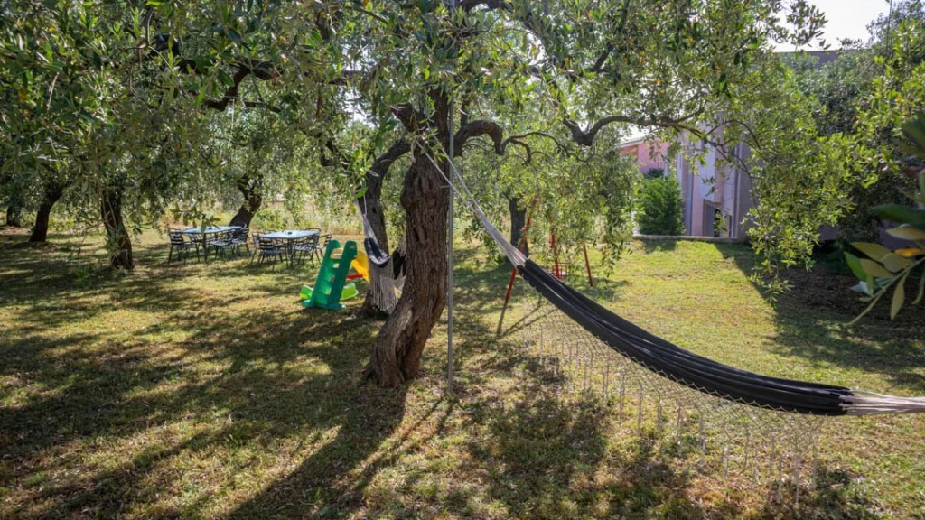 studios elena thassos