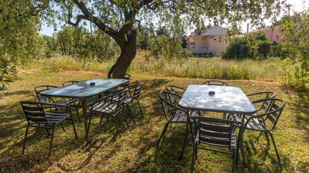 studios elena thassos