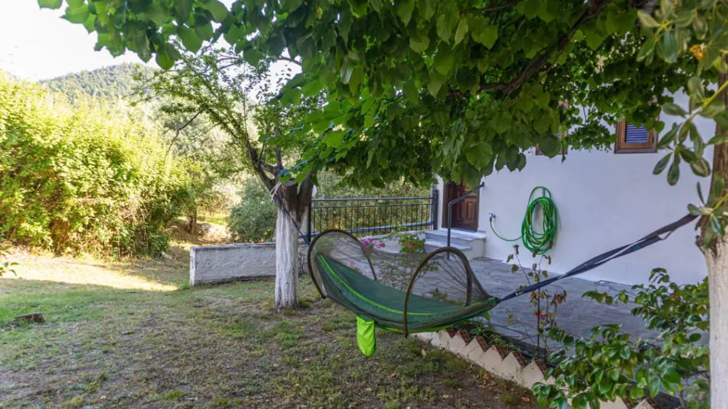 studios elena thassos
