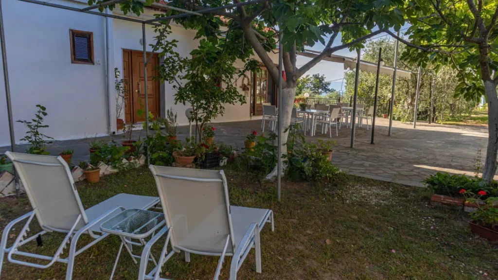 studios elena thassos