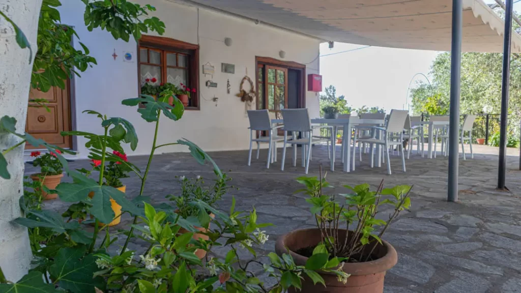 studios elena thassos