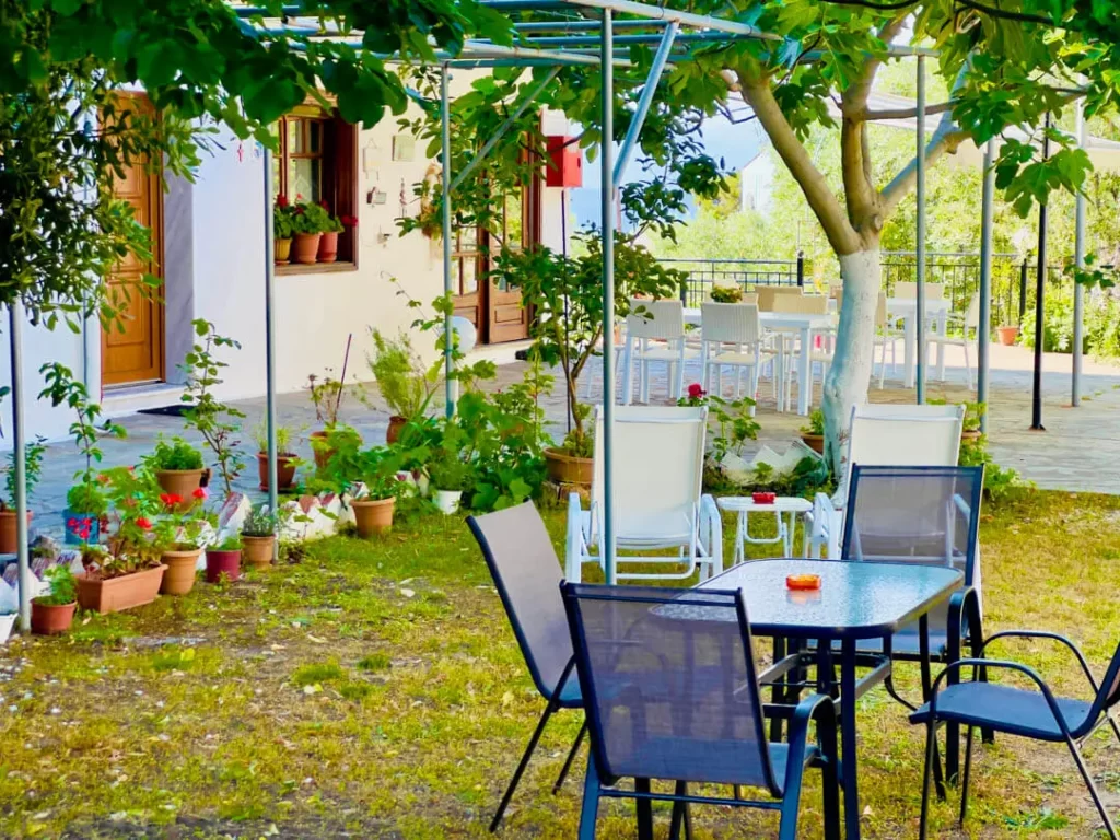 studios elena thassos