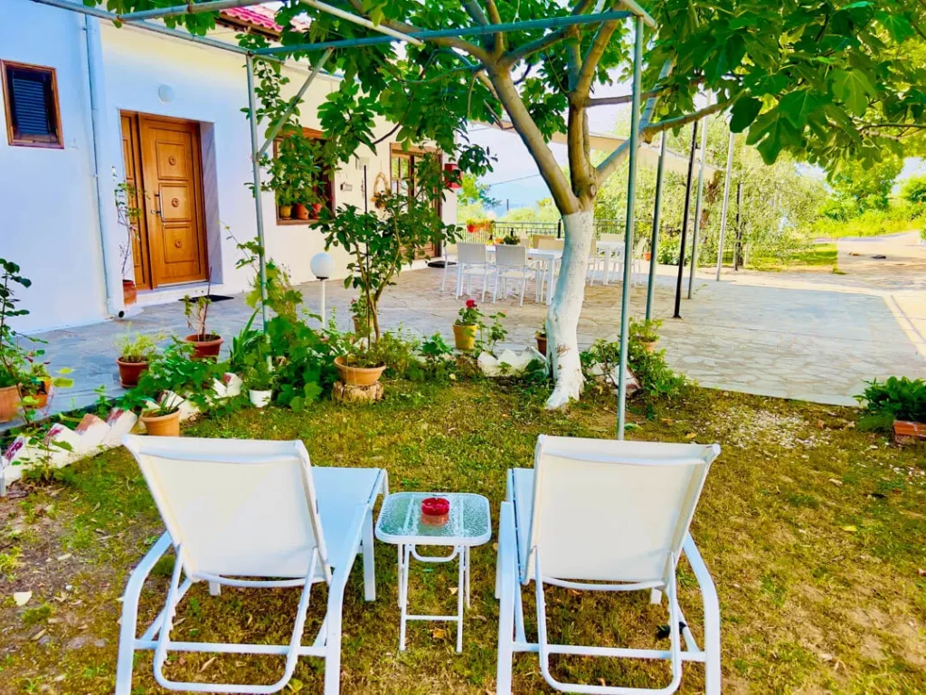 studios elena thassos