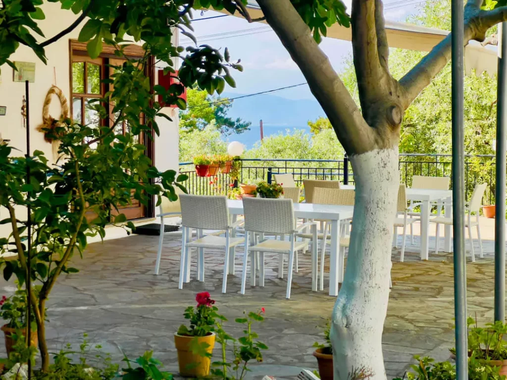 studios elena thassos