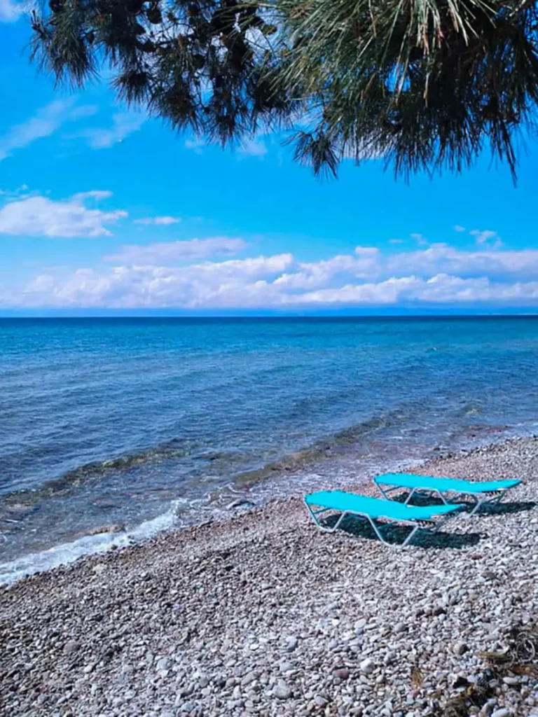 Pine Beach House Thassos