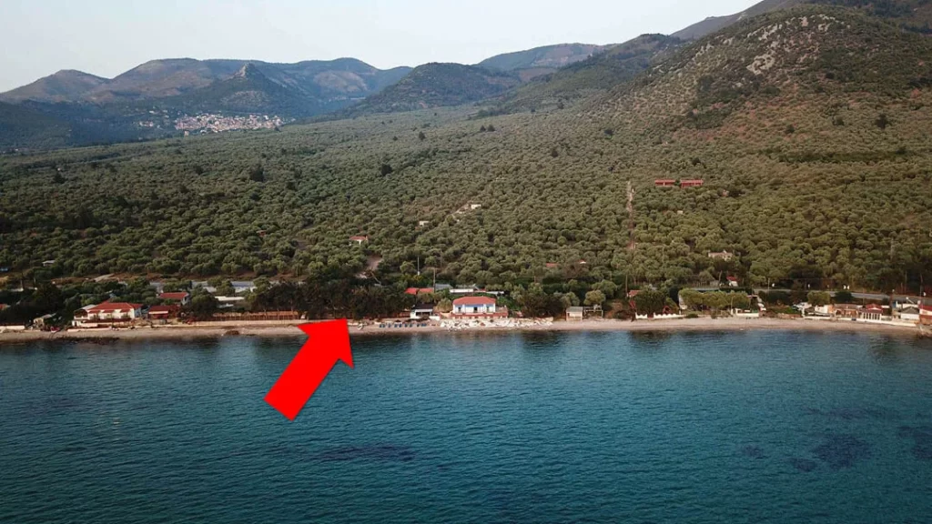 Pine Beach House Thassos