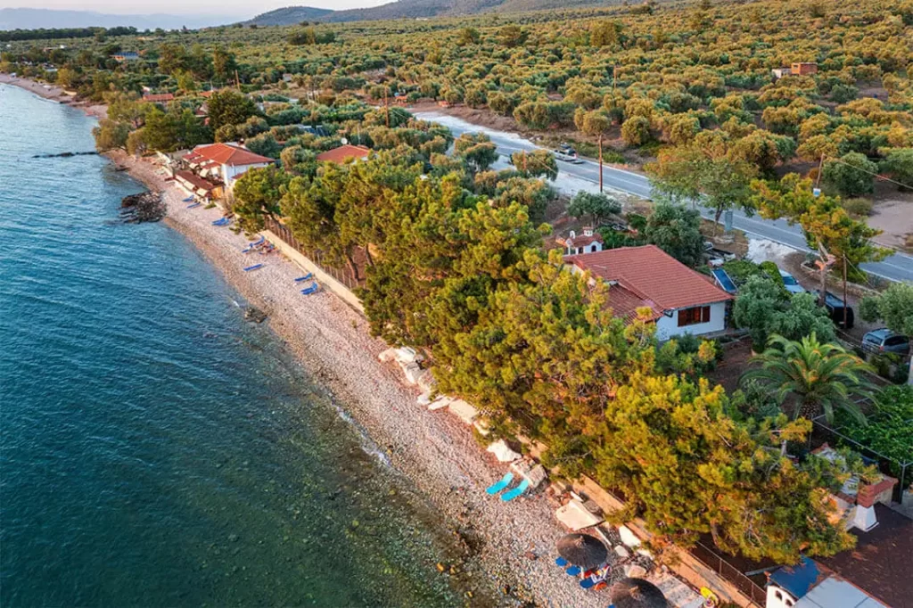 Pine Beach House Thassos