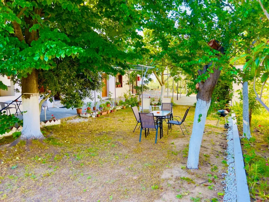 studios elena thassos