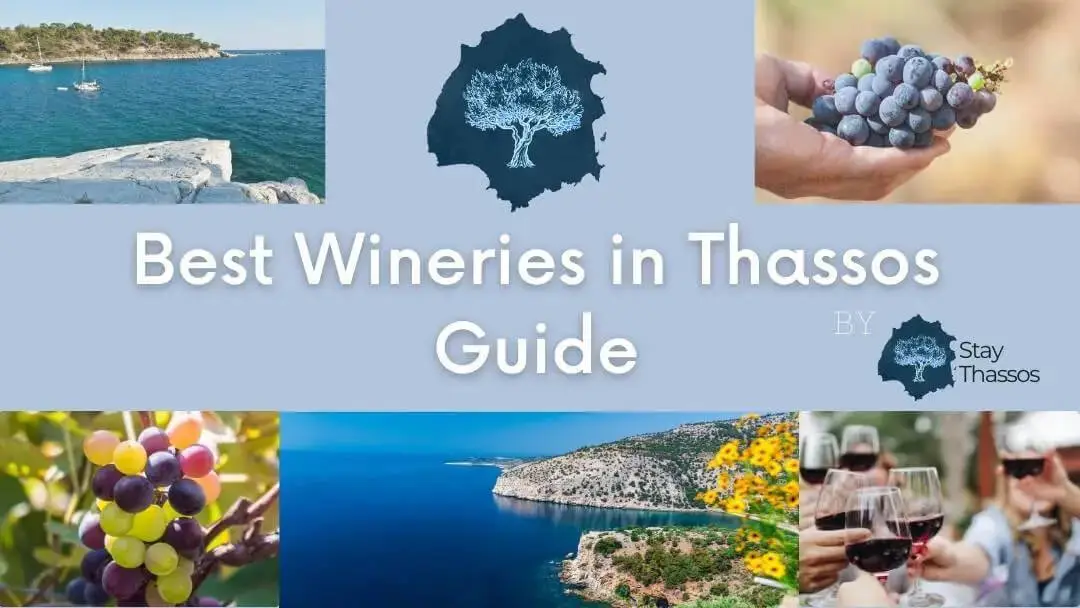 Best Wineries in Thassos Guide