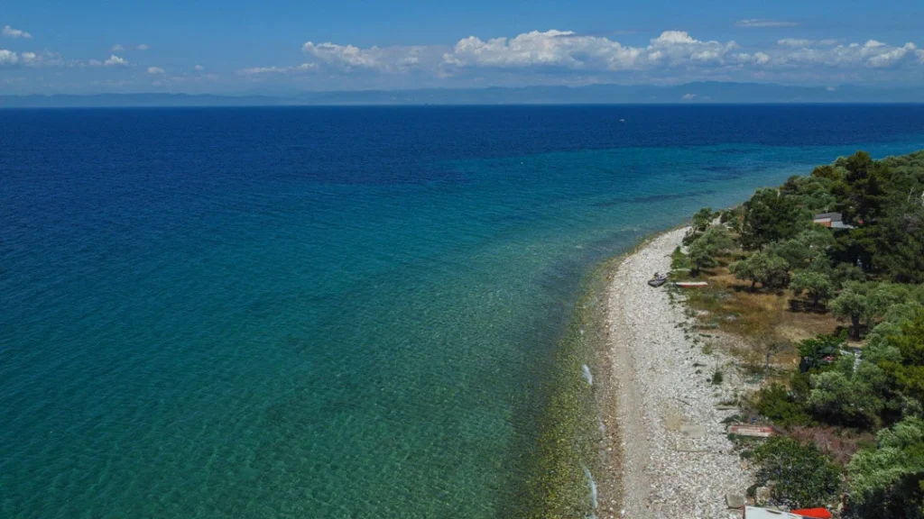 Dolphins View Thassos
