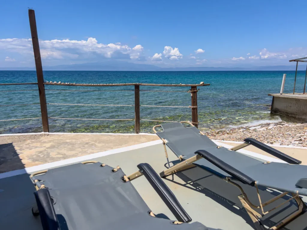 Dolphins View Thassos