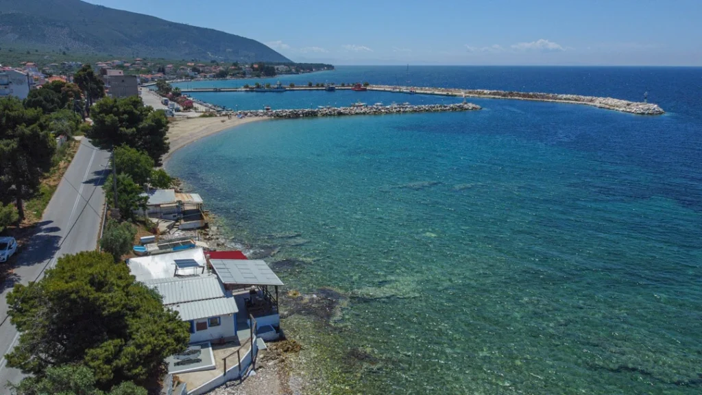 Dolphins View Thassos