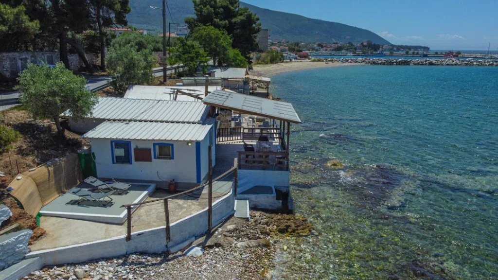 Dolphins View Thassos