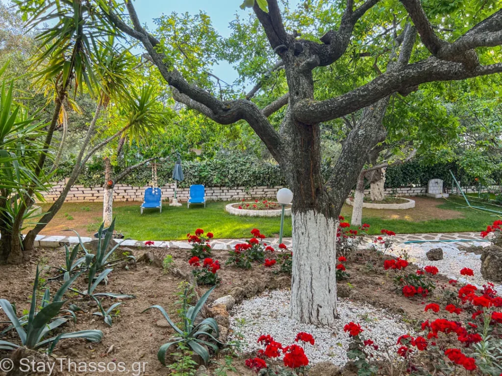 Emilia Suites Thassos