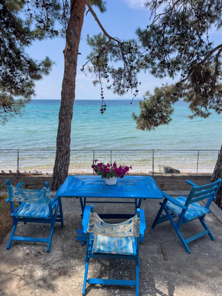 Pine Beach House