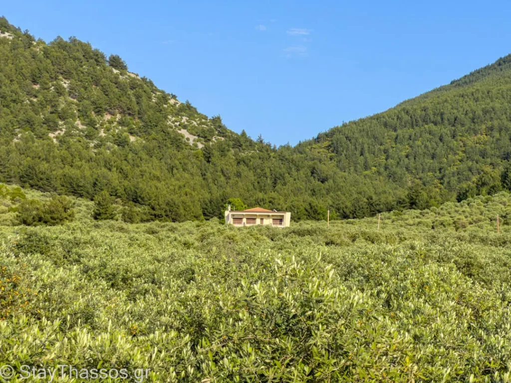 Emilia Suites Thassos