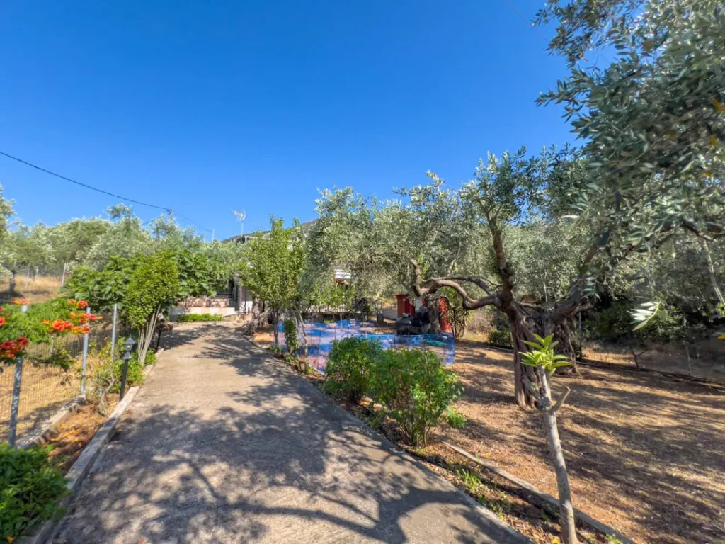 Ilios Beach House Garden