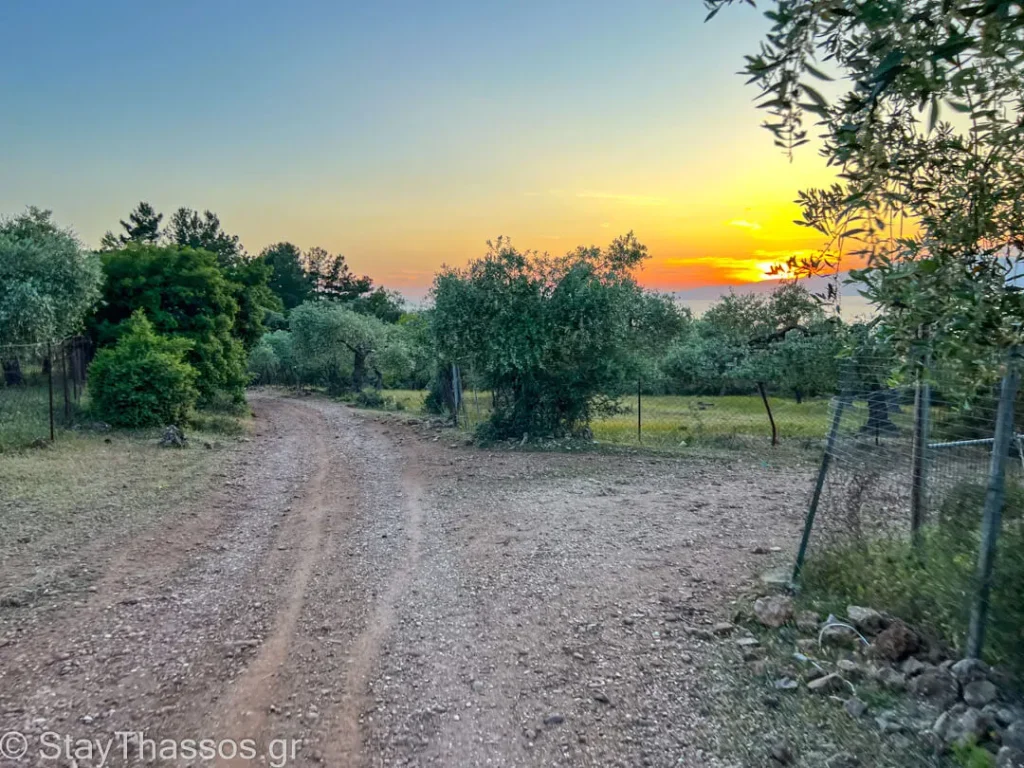 bike rent Thassos