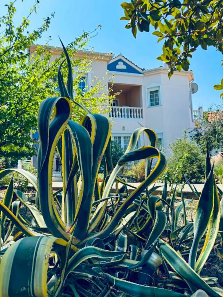 Villa Garden Limenas Thassos
