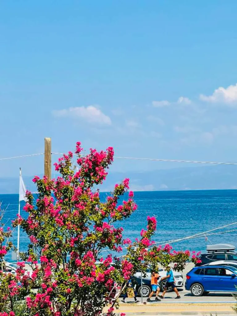 Villa Garden Limenas Thassos